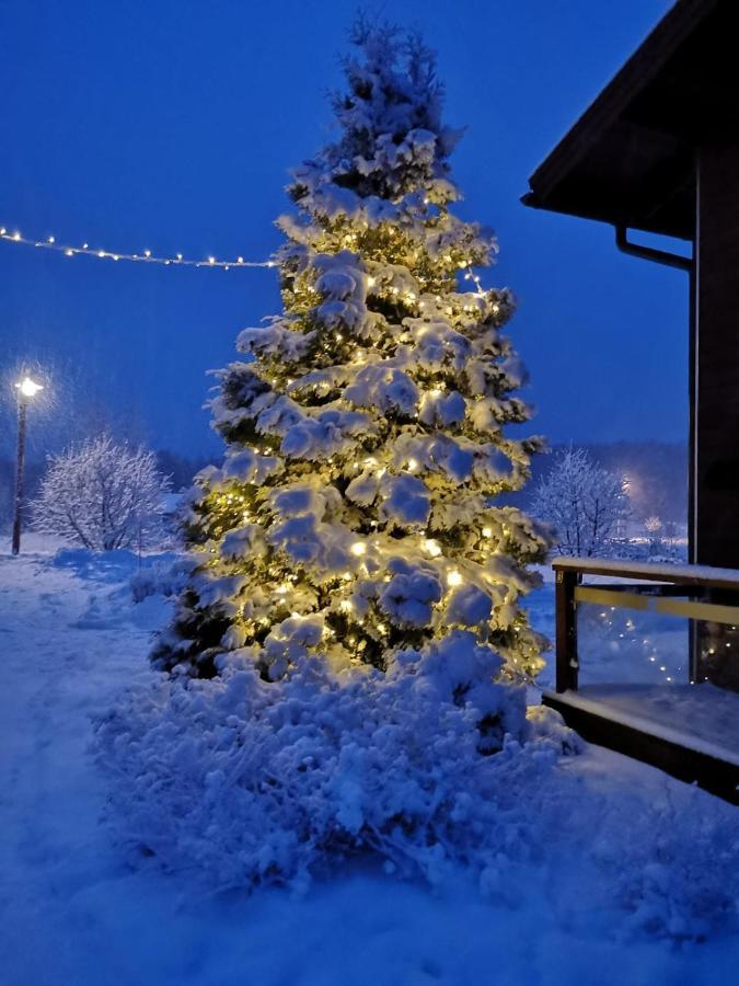 Kiurunrinne Villas Virasoja Esterno foto