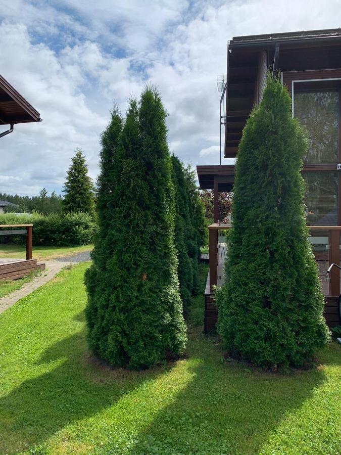 Kiurunrinne Villas Virasoja Esterno foto